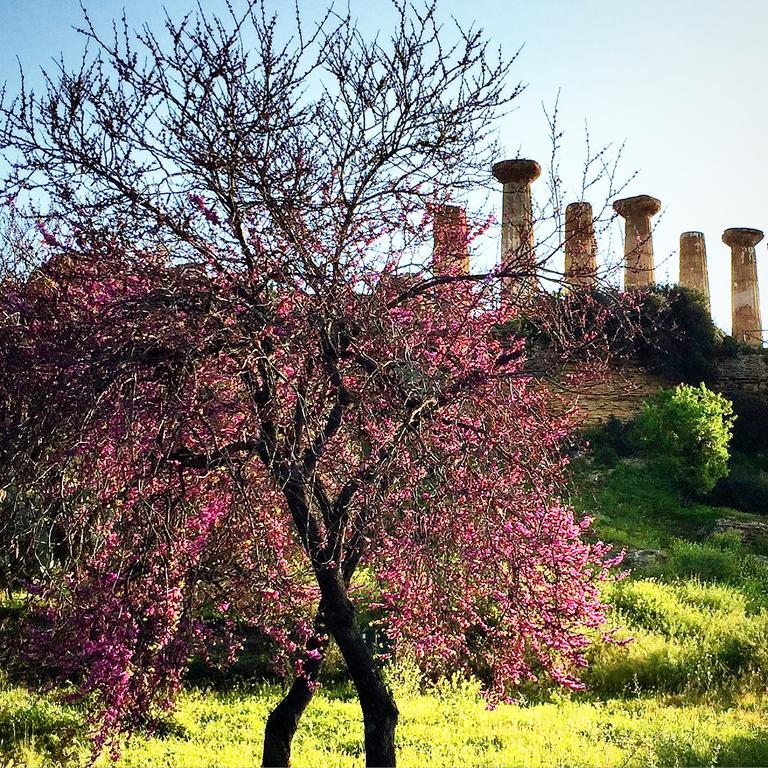 Villa Cetta B&B San Leone Luaran gambar